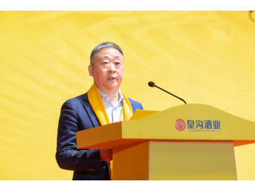 宋書玉：四建議助力皇溝酒業未來發展